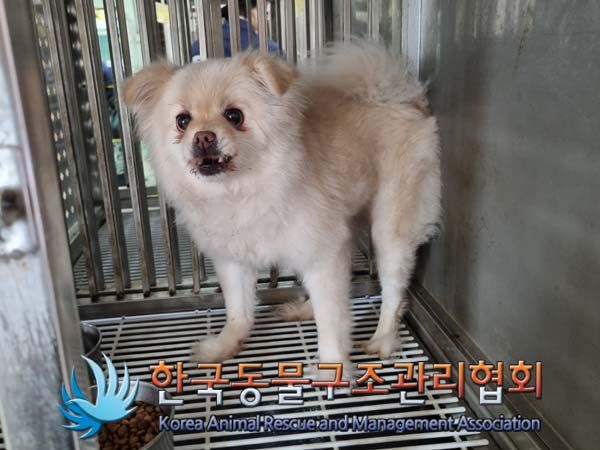 한국동물구조관리협회_441398202400218